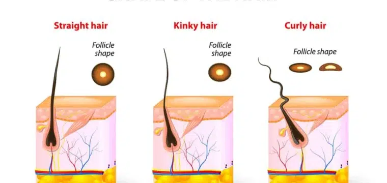 understanding-different-hair-types
