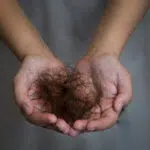 Does Diabetes Cause Hair Loss | Medication | Hormones | Immune System | Medical Hair Regrowth | Hair Loss Clinic | AZ Hair Restoration Raleigh North Carolina